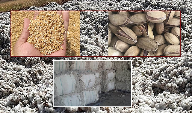 Urfa, Adana, İzmir ve Gaziantep Borsalarında tarım ürünleri fiyat listesi yayımlandı