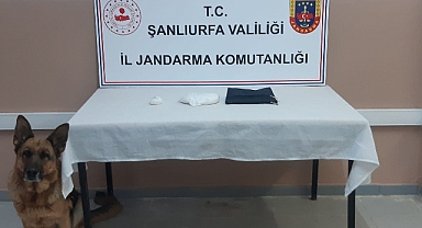Urfa'da uyuşturucu operasyonu! 1 tutuklama