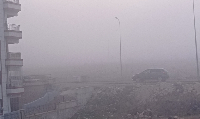 Urfa'da yoğun sis etkili oluyor