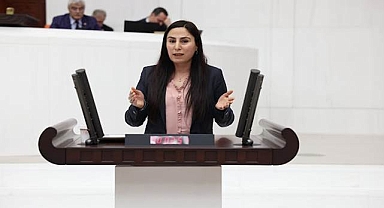 Vekil Sürücü, Gülistan Doku’nun kaybolduğu süreci TBMM’ye taşıdı