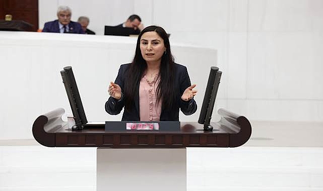 Vekil Sürücü, Gülistan Doku’nun kaybolduğu süreci TBMM’ye taşıdı