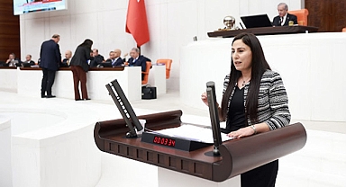 Vekil Sürücü, Hilvan cezaevinde yaşanan sorunları meclise taşıdı