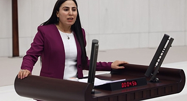 Vekil Sürücü, kadın cinayeti olayını meclise taşıdı