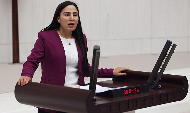 Vekil Sürücü, kadın cinayeti olayını meclise taşıdı