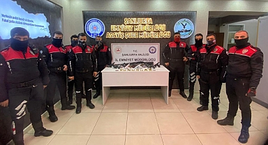 Yunuslardan şüphelilere geçit yok