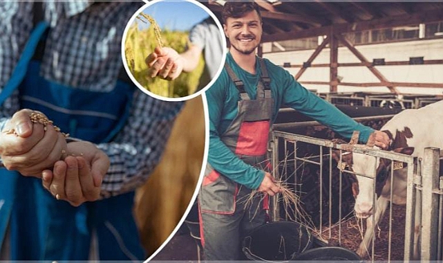 Yürürlüğe girdi! Hibe desteği artırıldı