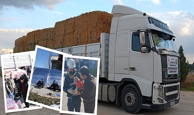 Afetzedelere hayvan çadırı ve yem dağıtımı devam ediyor