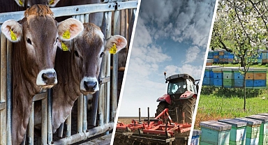 Bakan Kirişci, depremzede çiftçiler için alınan tedbirlere ilişkin bilgi verdi