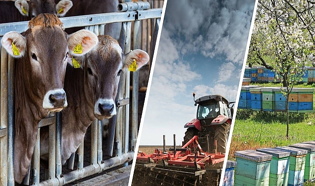 Bakan Kirişci, depremzede çiftçiler için alınan tedbirlere ilişkin bilgi verdi