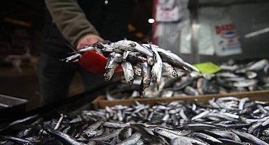 Bakanlık açıkladı! Bugünden itibaren durduruldu