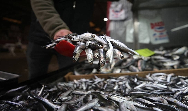 Bakanlık açıkladı! Bugünden itibaren durduruldu