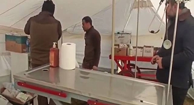 Depremden etkilenen sokak hayvanlarının yaraları sarılıyor