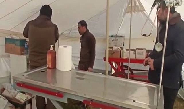 Depremden etkilenen sokak hayvanlarının yaraları sarılıyor