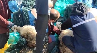 Depremin 20. gününde enkazdan canlı çıkarıldı