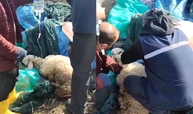 Depremin 20. gününde enkazdan canlı çıkarıldı