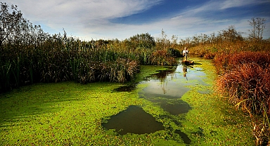 Korunan alanlarda ziyaretçi rekoru