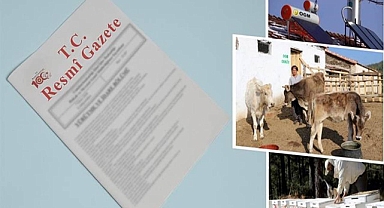 Resmi Gazete yayımlandı! Kredi taksitleri ertelendi