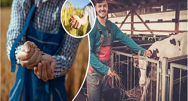 Resmi gazetede yayımlandı! Hibe desteği sağlanacak