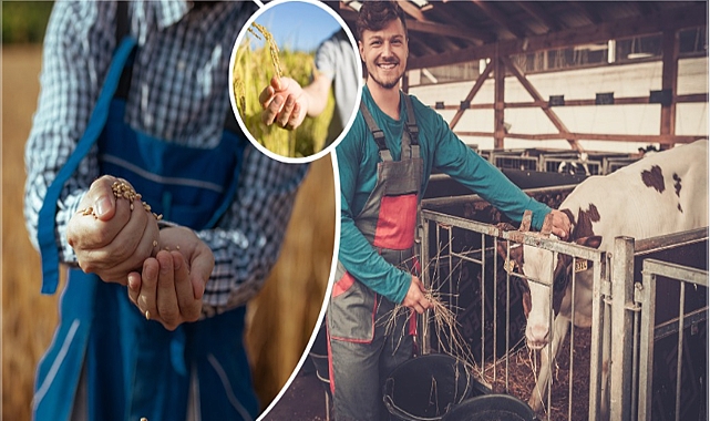 Resmi gazetede yayımlandı! Hibe desteği sağlanacak