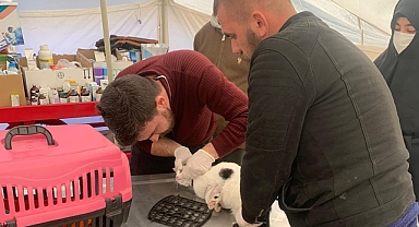 Şanlıurfa Büyükşehir’den Adıyaman’da sokak hayvanları için çadır hastane