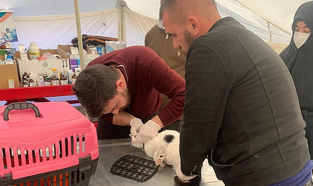 Şanlıurfa Büyükşehir’den Adıyaman’da sokak hayvanları için çadır hastane