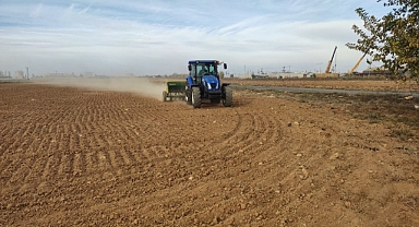 Şanlıurfa'da 350 dekar alanda buğday üretimi 
