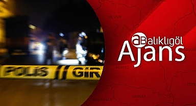 Şanlıurfa'da silahlı saldırı! 