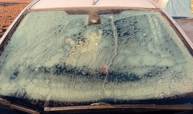 Şanlıurfa'nın kırsalı buz tuttu