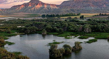 Türkiye'de toplam kaç sulak alan bulunuyor?