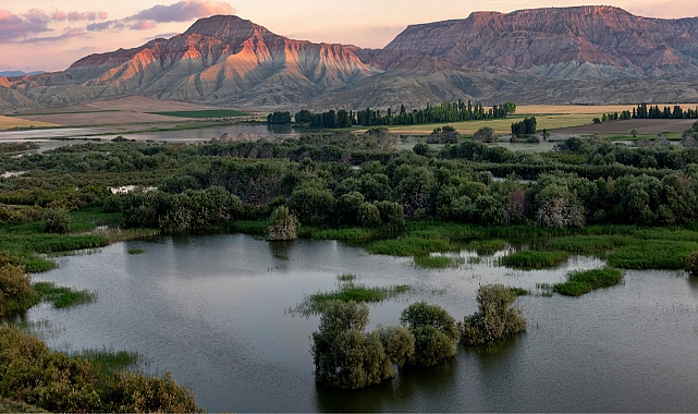 Türkiye'de toplam kaç sulak alan bulunuyor?