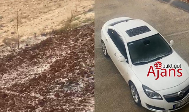 Urfa'da dolu yağışı! Yerler beyaza büründü
