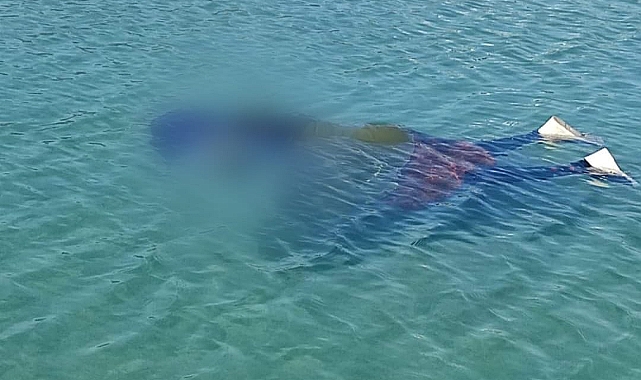 Urfa'da yapay gölette kadın cesedi bulundu