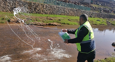 Viranşehir Belediyesinden larva ilaçlama çalışması