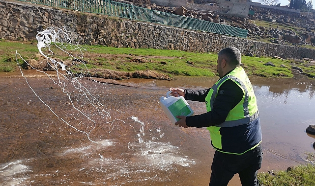 Viranşehir Belediyesinden larva ilaçlama çalışması
