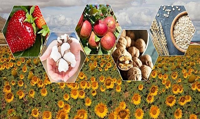 Bitkisel üretim miktarında Cumhuriyet tarihinin rekoru kırıldı!