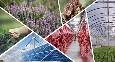 Bakanlık açıkladı! 733 projenin başvurusu onaylandı