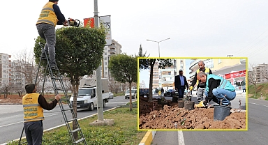 Büyükşehir’den kent genelinde çiçek ekimi