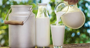 Çiğ süt desteği ödemelerine ilişkin esaslar belli oldu