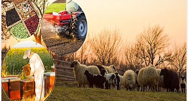 Destekleme ödemesi bugün hesaplara aktarılıyor