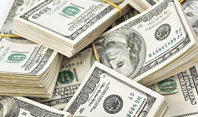 Dolar güne kaç TL'den başladı?