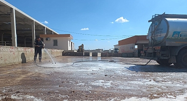 Eyyübiye Belediyesi hayvan pazarını dezenfekte etti