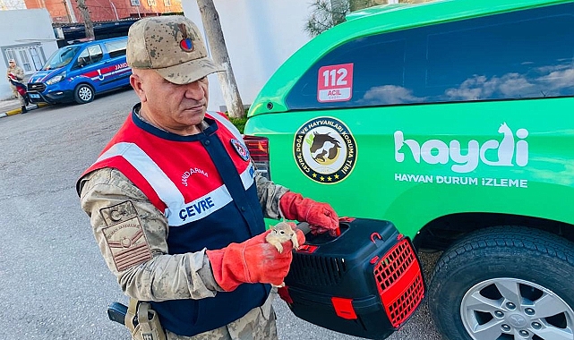 Jandarma Hilvan’da öyle bir şey ele geçirdi ki gören şaşırdı kaldı