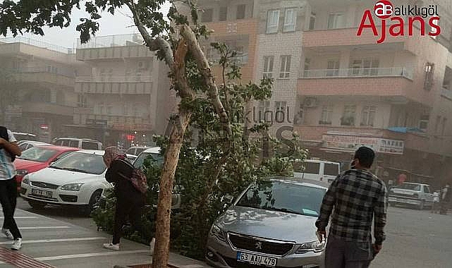 Meteorolojik uyarı! Urfa’da kuvvetli bir şekilde bekleniyor
