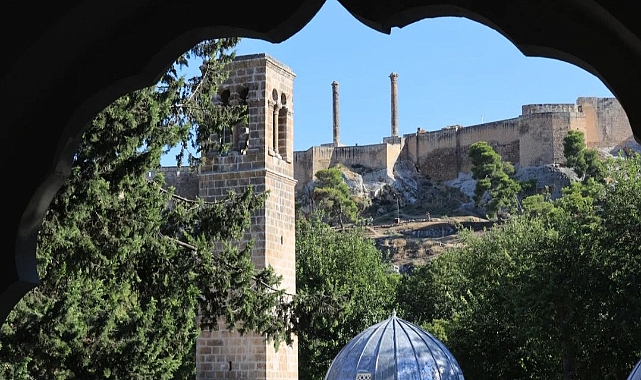 Şanlıurfa'da 6 kişi hayatını kaybetti