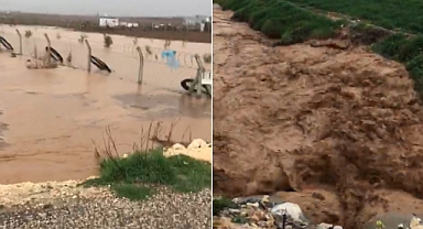 Şanlıurfa'da sağanak yağış sele neden oldu