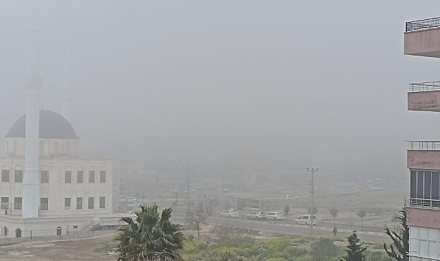 Şanlıurfa’da sis etkili oldu