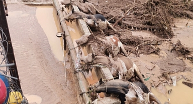 Sele ahırda yakalanan 6 büyükbaş telef oldu