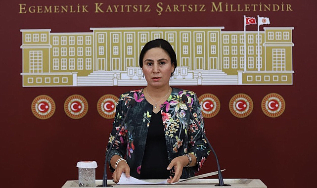 Sürücü, deprem bölgesindeki eğitim sorununu TBMM’ye taşıdı