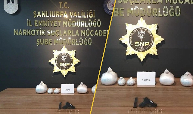 Urfa’da durdurulan bir araçta ala geçirildi! 2 gözaltı