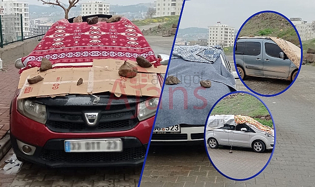 Urfa’da vatandaşların dolu önlemi!